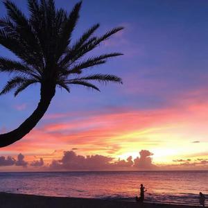 多田有花和小泽一郎最经典的一句
