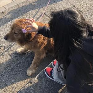 多田有花和小泽一郎最经典的一句
